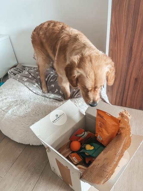 Verjaardagsbox Hond🎂