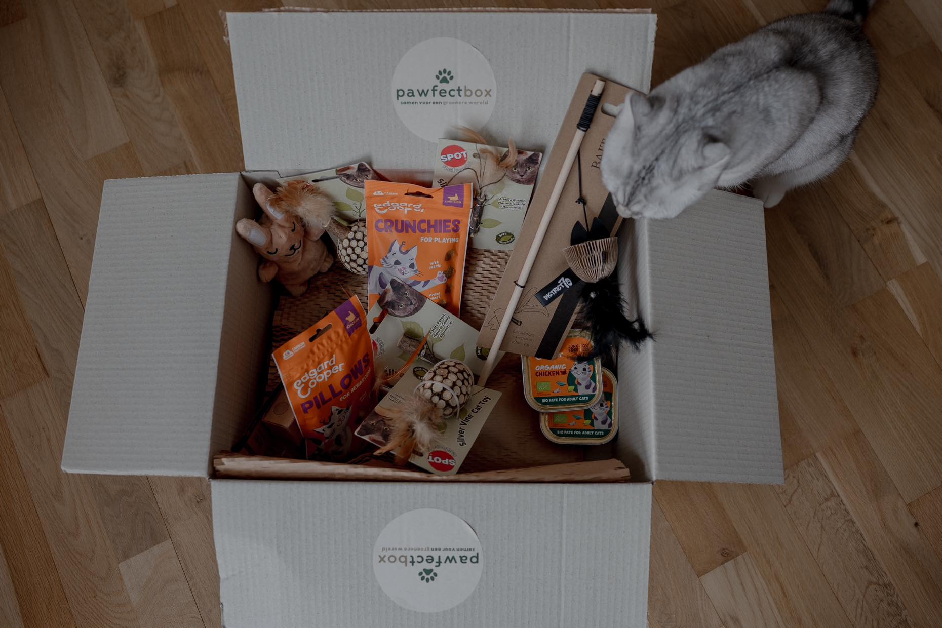 Verrassingsbox Kat