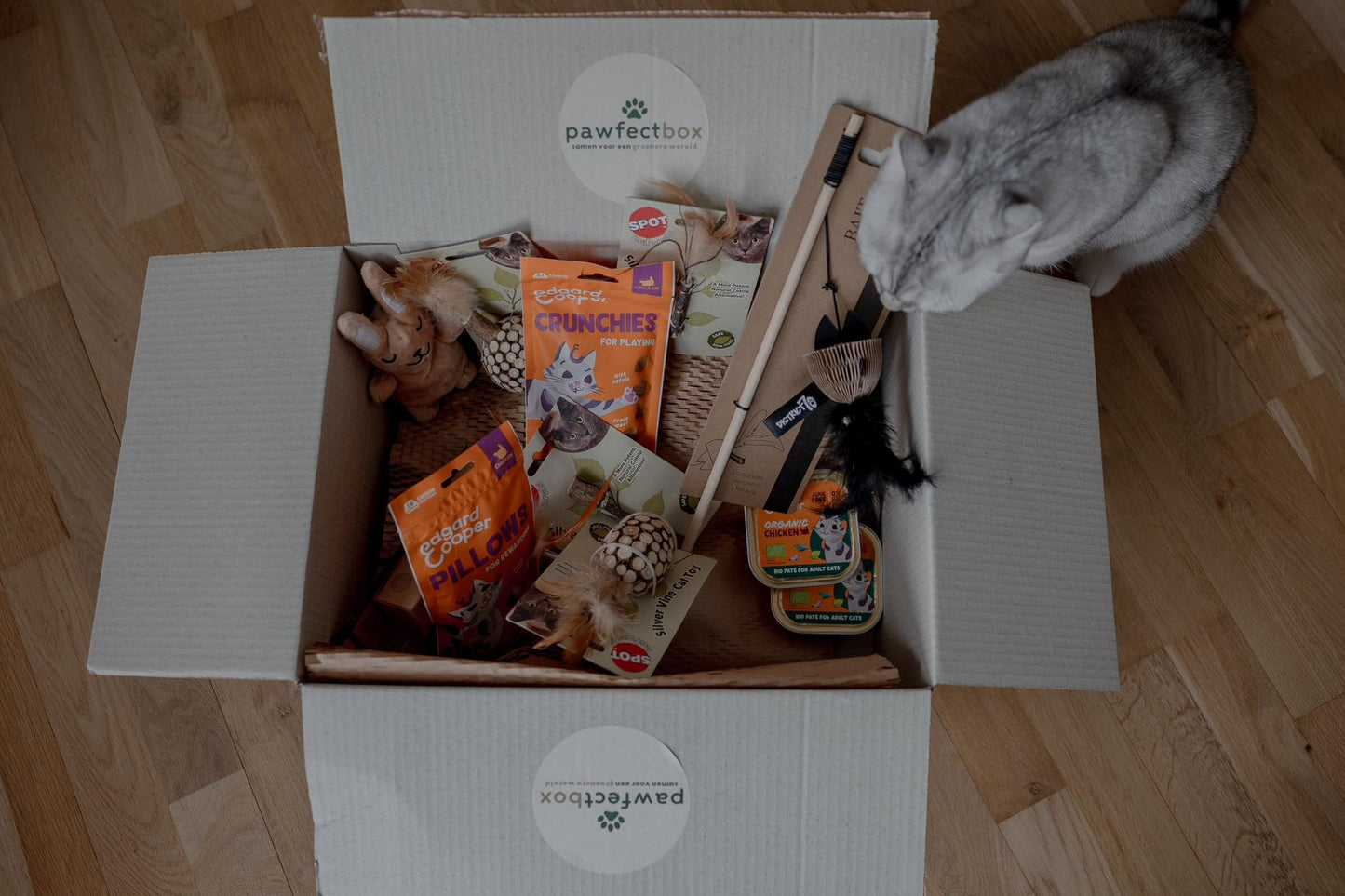 Verrassingsbox Kat