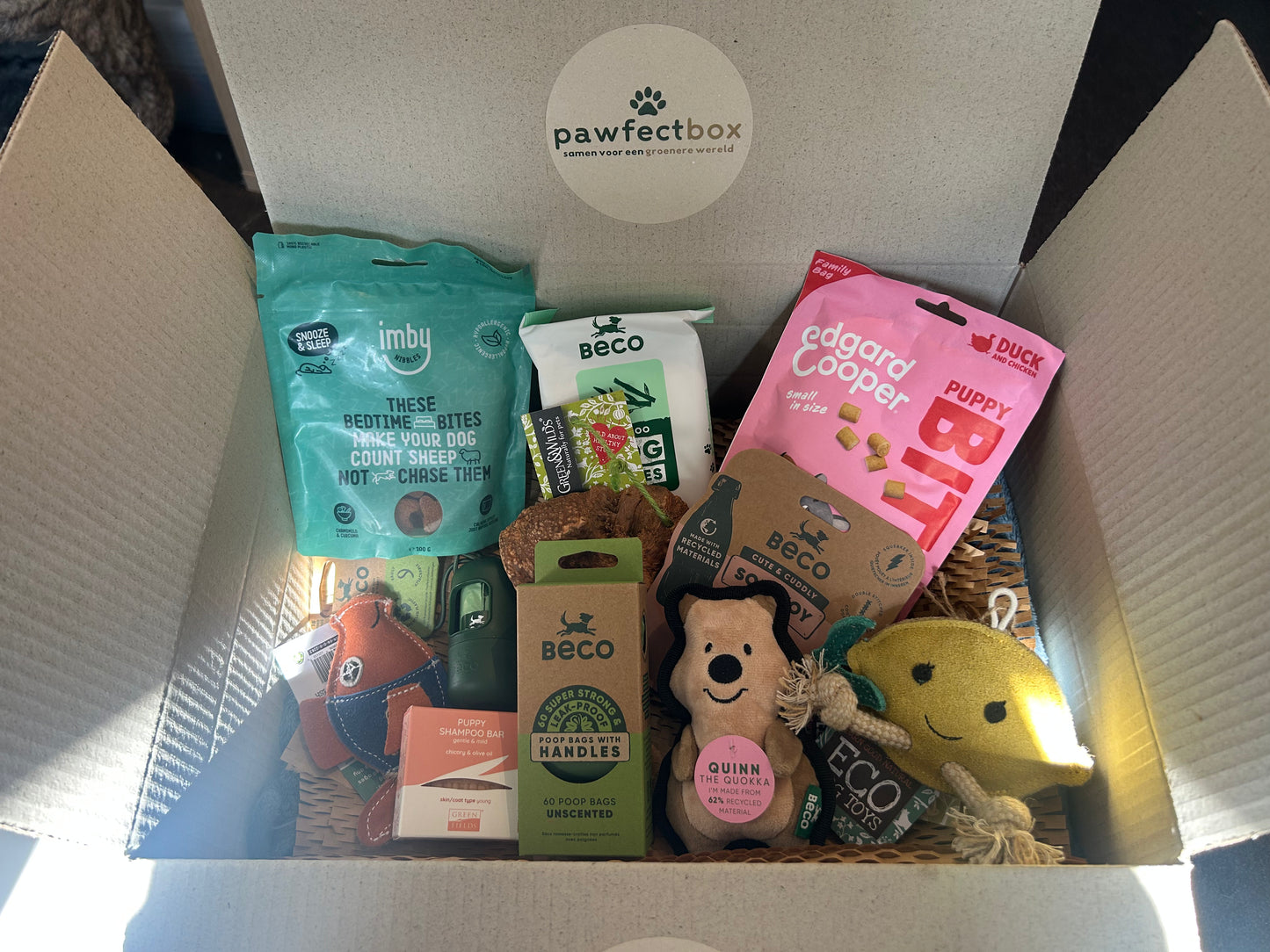 Puppy Box🐶