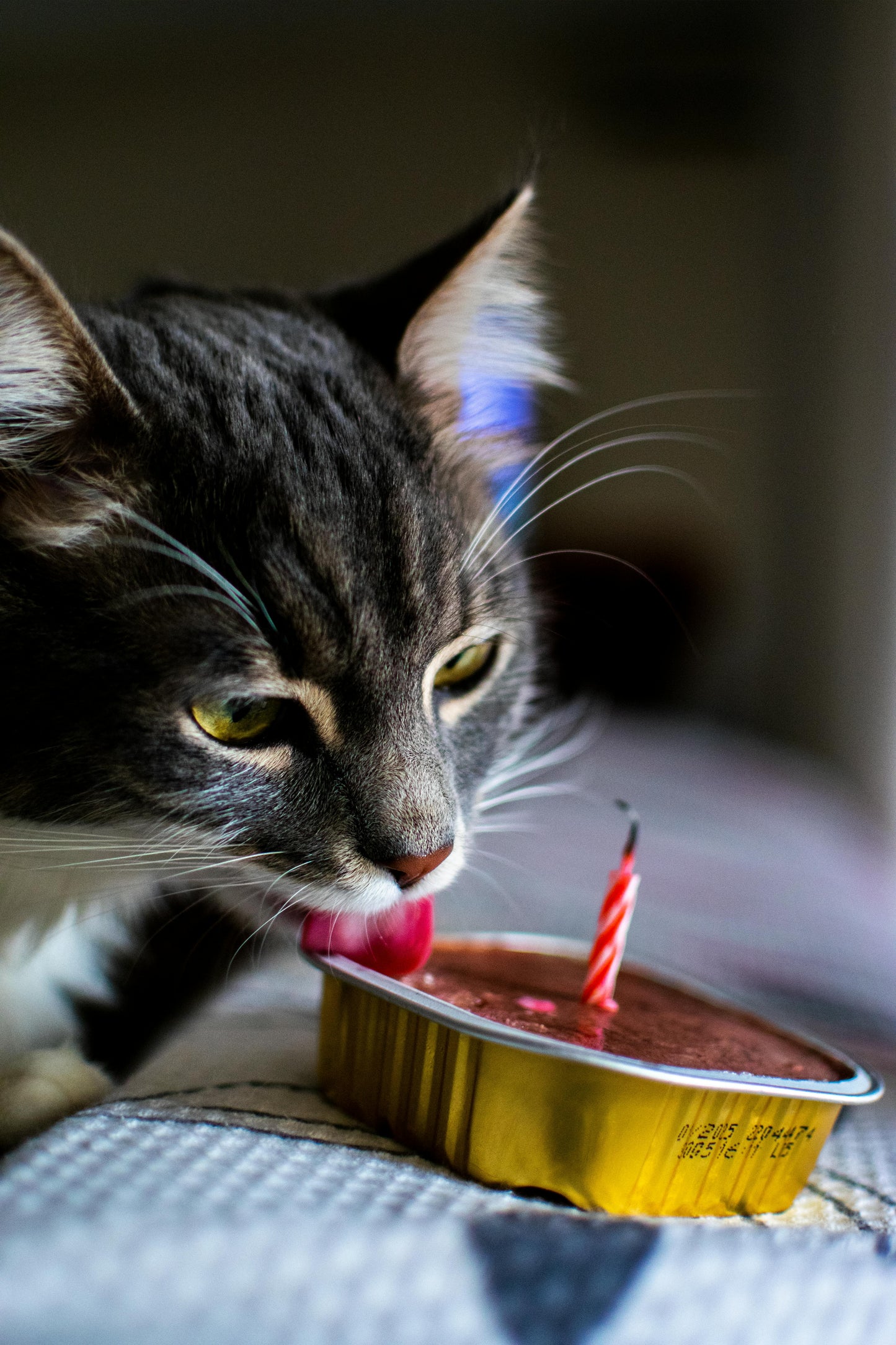 Verjaardagsbox Kat🎂